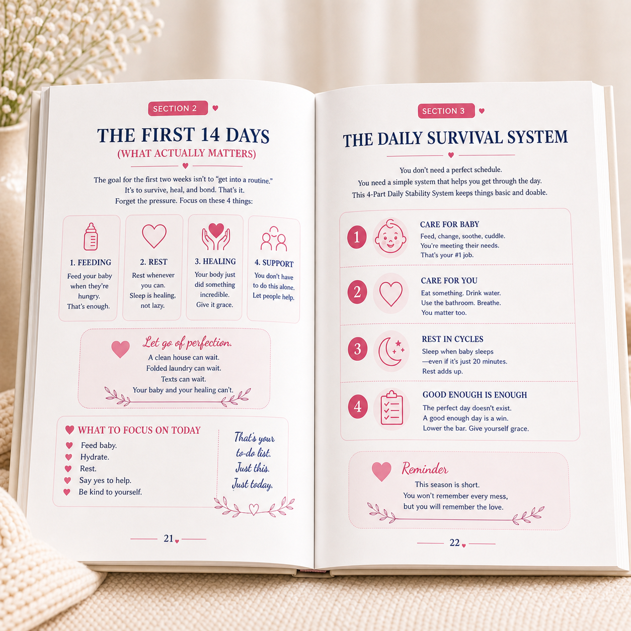 The FIRST 90 DAYS: A New Mom's Survival Blueprint